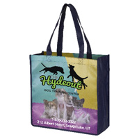 13” W x 13” H Full Color Import Air Ship Glossy Lamination Grocery Shopping Tote Bags